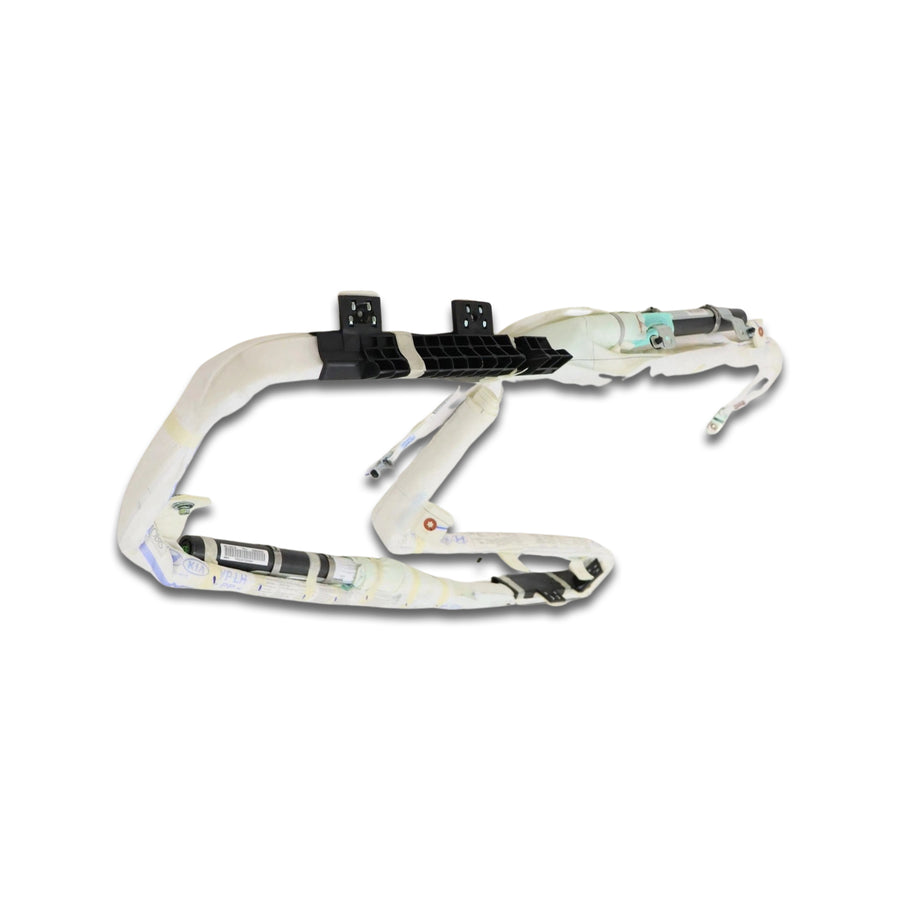 2017-2021 Kia Sedona Driver Roof Airbag